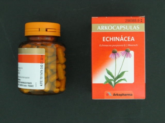 ARKOCAPSULAS ECHINACEA 250 MG 100 CAPSULAS
