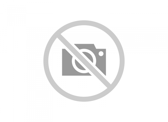 MIRAZUL 0.5 MG 10 MONODOS 0.4 ML